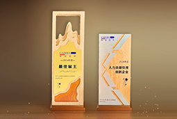 南宫28国际一举斩获“2024年度中国区最佳雇主”等多项大奖